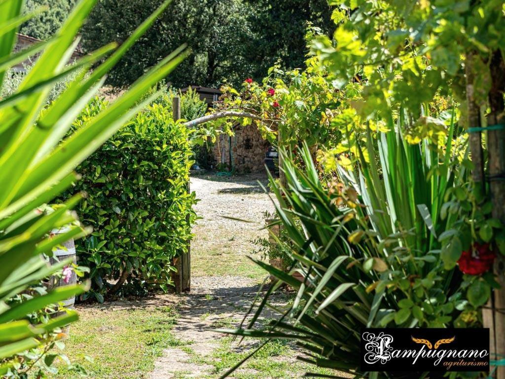 Agriturismo Lampugnano Paganico  Dış mekan fotoğraf